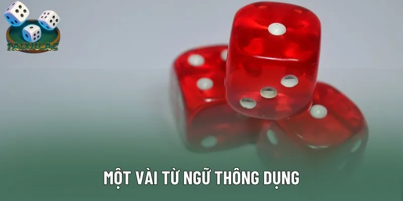 Một vài từ ngữ thông dụng Một vài từ ngữ thông dụng