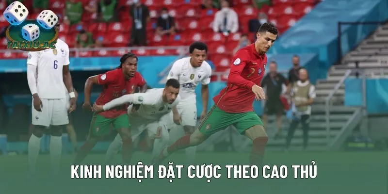 Kinh nghiệm đặt cược theo cao thủ Kinh nghiệm đặt cược theo cao thủ