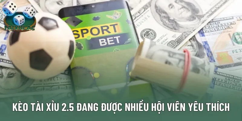 Kèo Tài Xỉu 2.5 đang được nhiều hội viên yêu thích