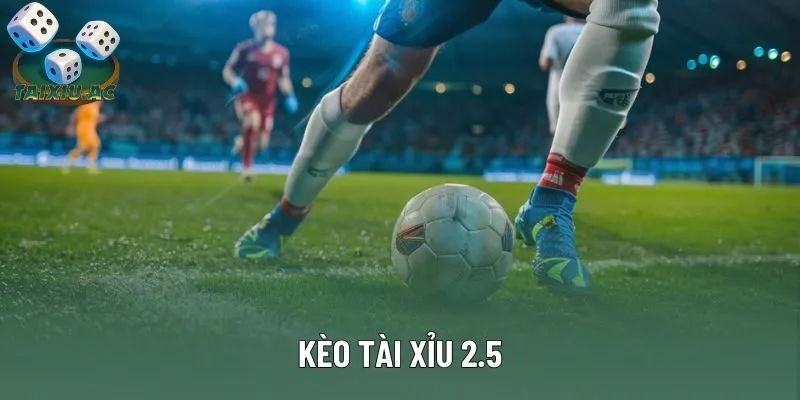 Kèo Tài Xỉu 2.5: Những Điều Quan Trọng Người Chơi Cần Lưu Ý
