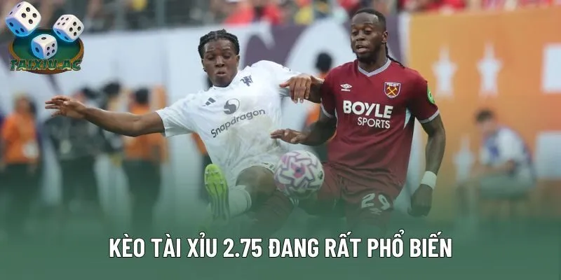 Kèo tài xỉu 2.75 đang rất phổ biến