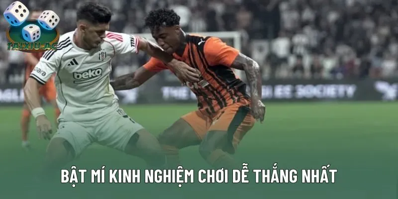 Bật mí kinh nghiệm chơi dễ thắng nhất