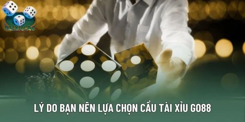 Lý do bạn nên lựa chọn cầu tài xỉu Go88 Lý do bạn nên lựa chọn cầu tài xỉu Go88