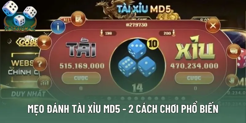 Mẹo Đánh Tài Xỉu Md5 - 2 Cách Chơi Phổ Biến Hiện Nay