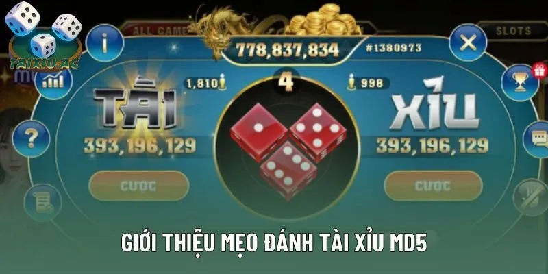 Giới thiệu mẹo đánh tài xỉu md5 Giới thiệu mẹo đánh tài xỉu md5