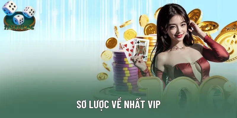 Sơ lược về Nhất Vip Sơ lược về Nhất Vip