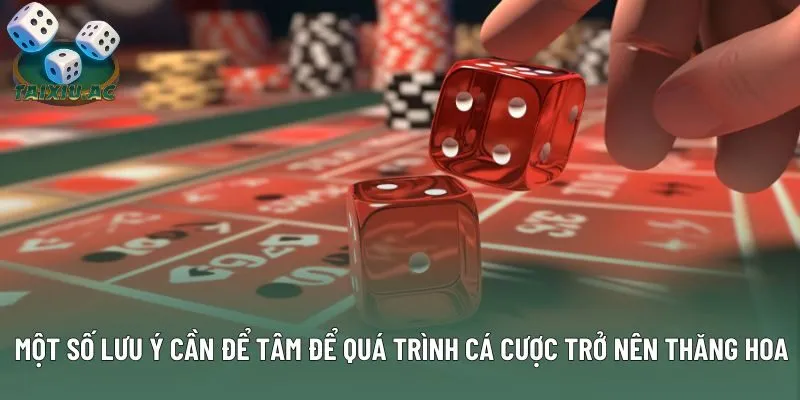 Một số lưu ý cần để tâm để quá trình cá cược trở nên thăng hoa Một số lưu ý cần để tâm để quá trình cá cược trở nên thăng hoa
