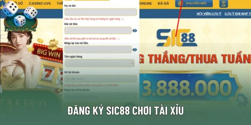 Cách chơi tài xỉu cho hội viên Sic88 Cách chơi tài xỉu cho hội viên Sic88