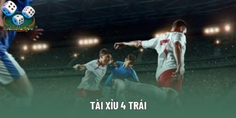 Tài Xỉu 4 Trái | Chỉ Dẫn Cách Đọc Chính Xác Nhất Năm 2025