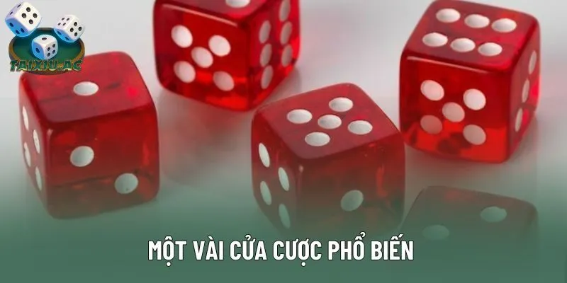 Một vài cửa cược phổ biến Một vài cửa cược phổ biến