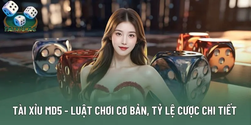 Tài Xỉu MD5 - Luật Chơi Cơ Bản, Tỷ Lệ Cược Chi Tiết Nhất