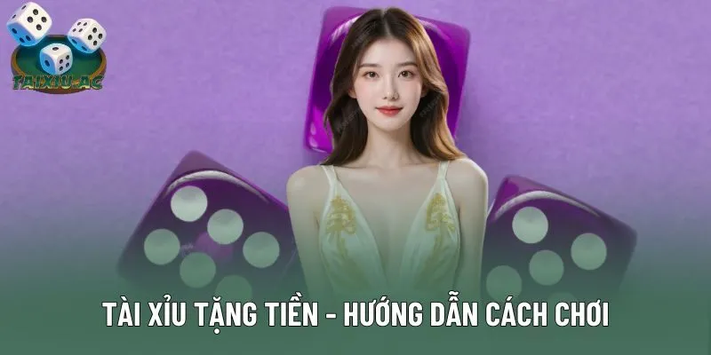 Tài Xỉu Tặng Tiền - Hướng Dẫn Cách Chơi, Thuật Ngữ Cơ Bản