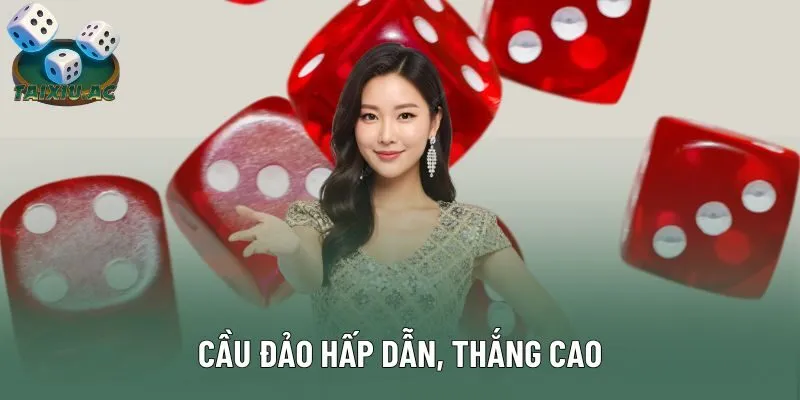 Cầu đảo hấp dẫn, thắng cao Cầu đảo hấp dẫn, thắng cao