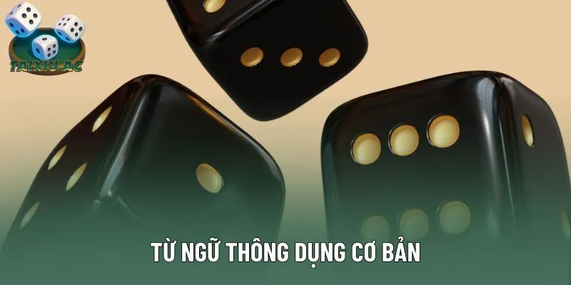 Từ ngữ thông dụng cơ bản Từ ngữ thông dụng cơ bản