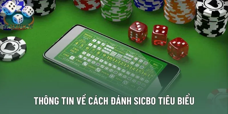 Thông tin về cách đánh sicbo tiêu biểu Thông tin về cách đánh sicbo tiêu biểu