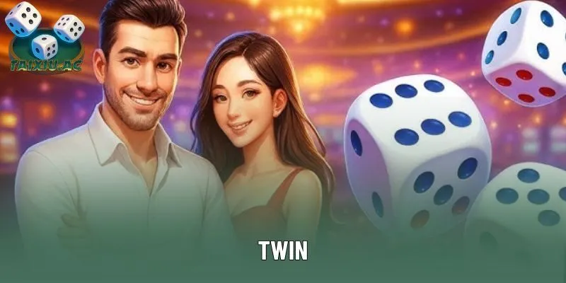 Twin Là Gì? Tại Sao Người Dùng Ưa Chuộng Nền Tảng Này