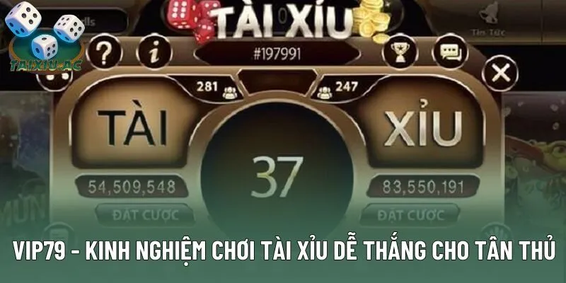Vip79 - Kinh Nghiệm Chơi Tài Xỉu Dễ Thắng Cho Tân Thủ