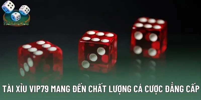 Tài xỉu Vip79 mang đến chất lượng cá cược đẳng cấp Tài xỉu Vip79 mang đến chất lượng cá cược đẳng cấp