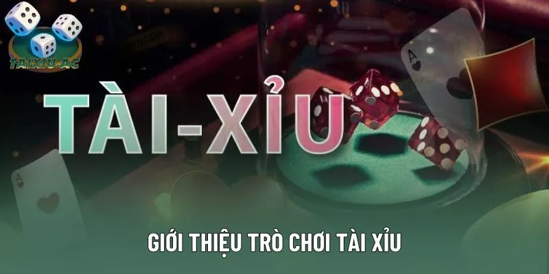 Giới thiệu trò chơi tài xỉu